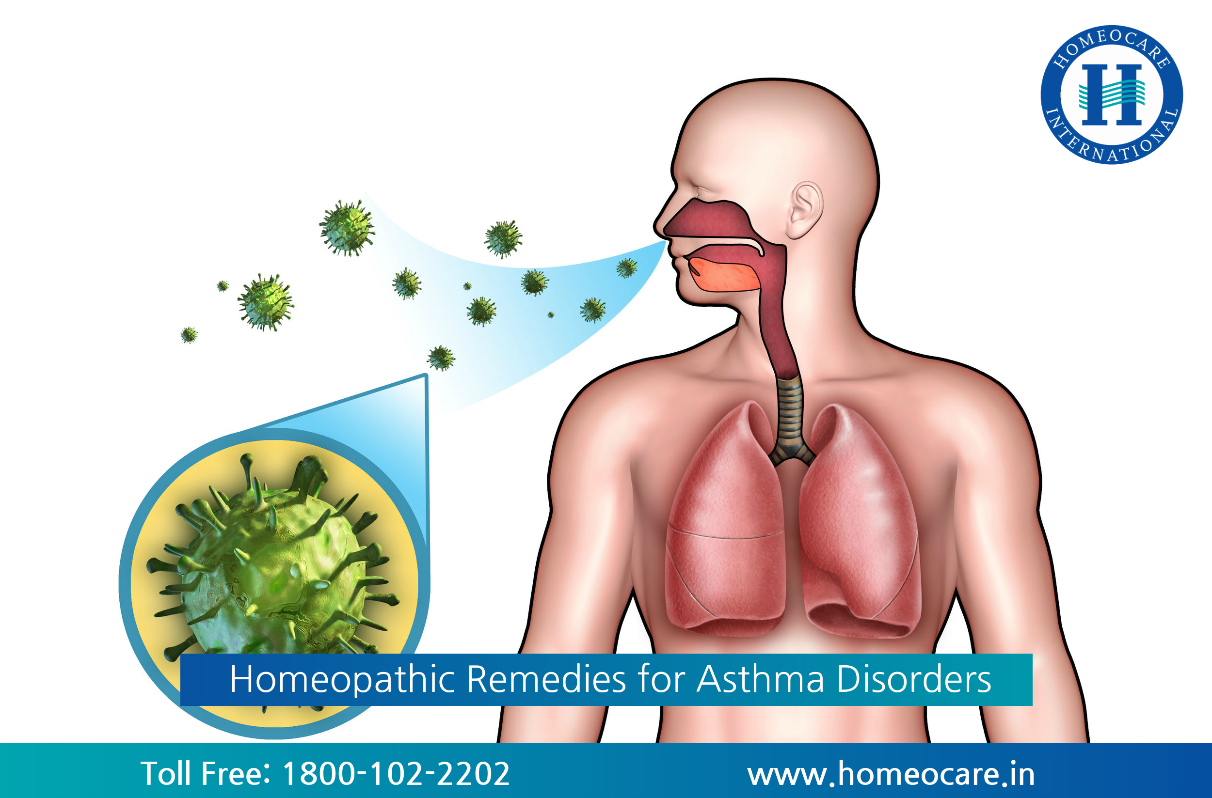 Homeopathic treatment for Asthma Disorders