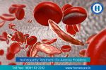 Understanding Anemia Symptoms