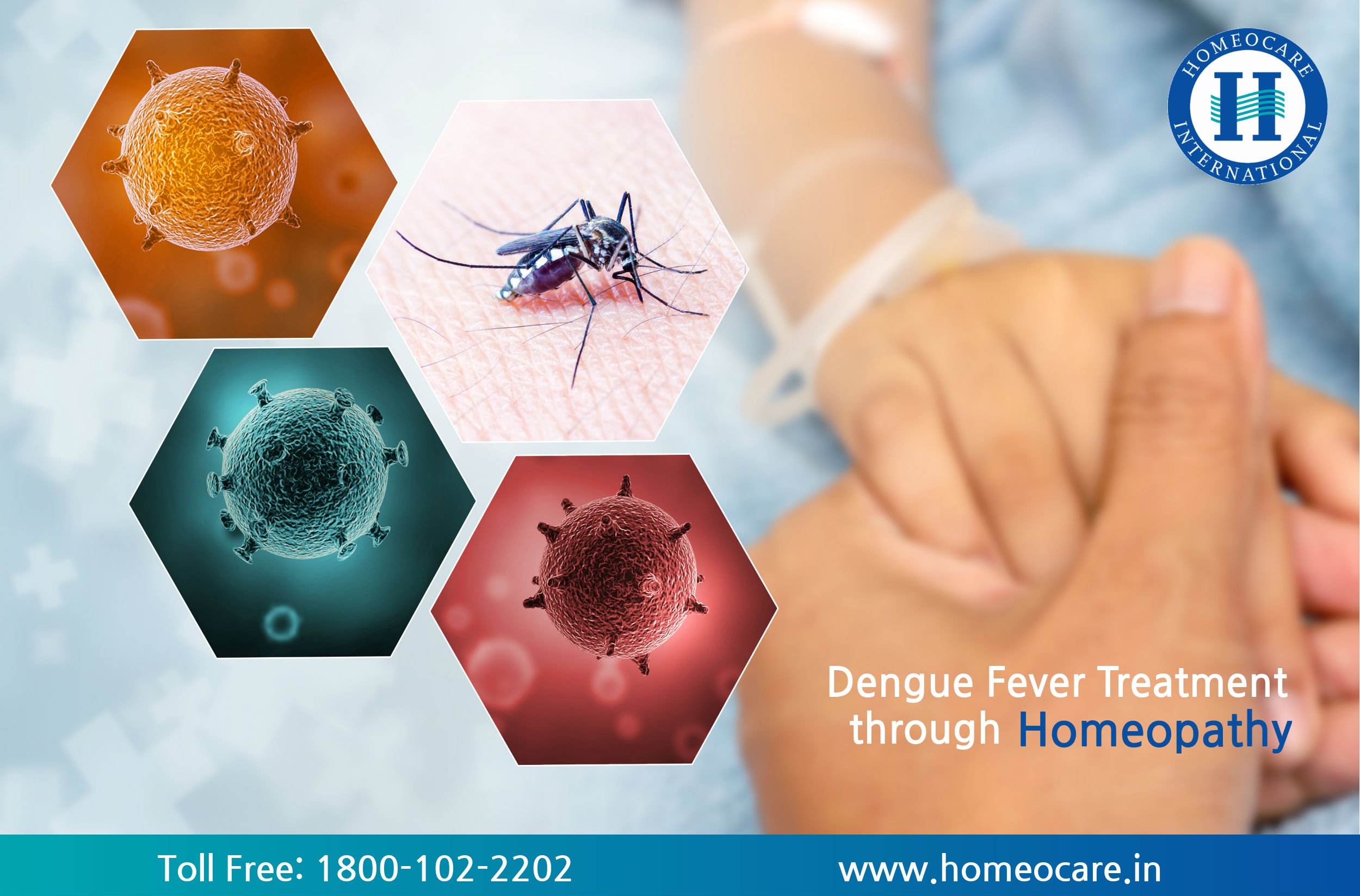 Dengue Fever Treatment through Homeopathy