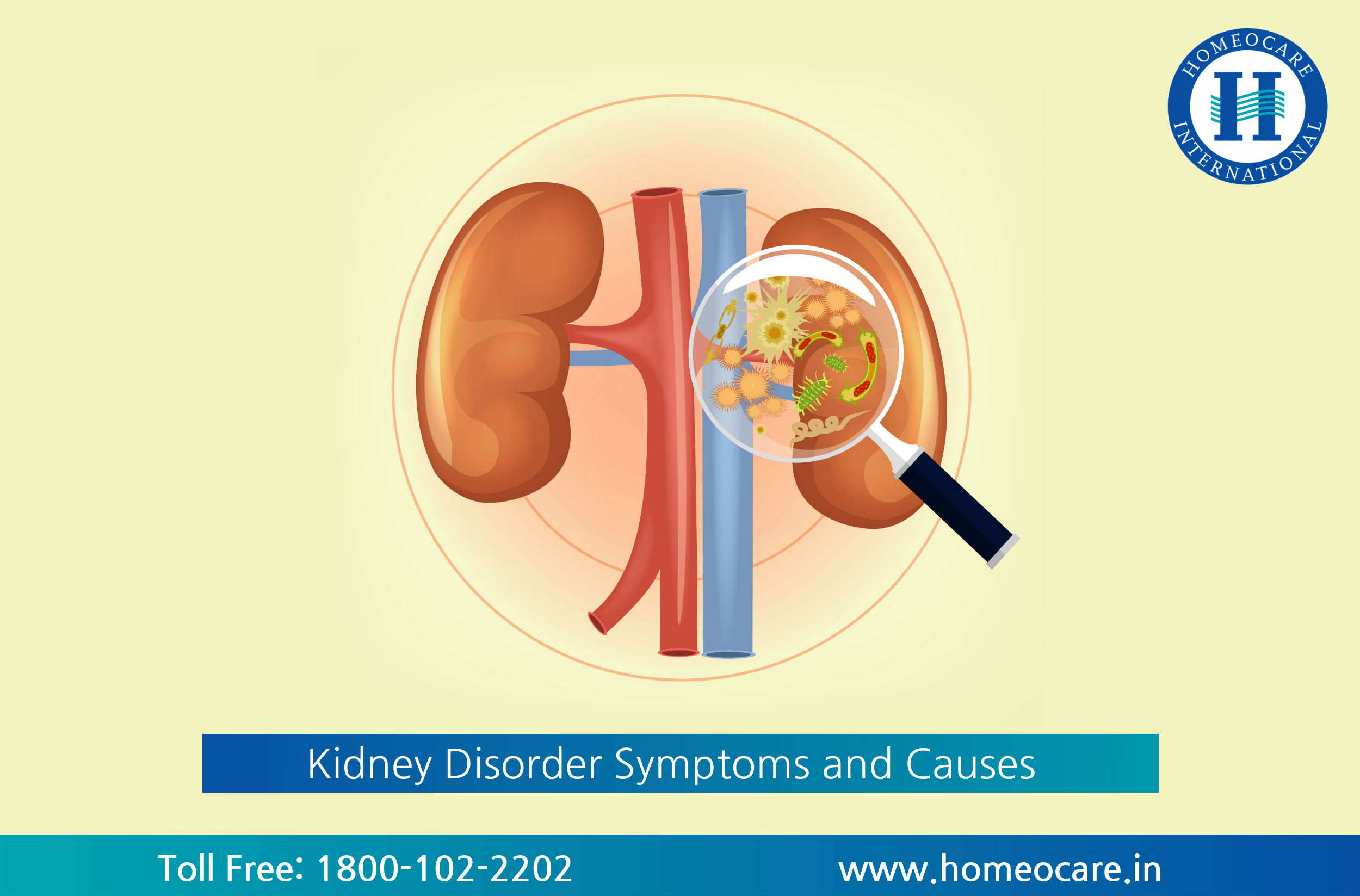 kidney disease symptoms and causes