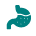 Gastric Problems Icon