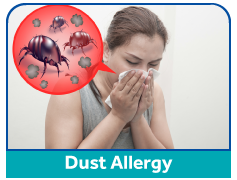 dust-allergy
